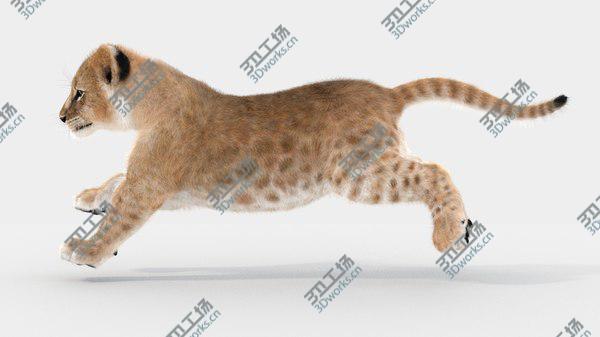 images/goods_img/20210312/Baby Lion Animated Fur 3D model/5.jpg